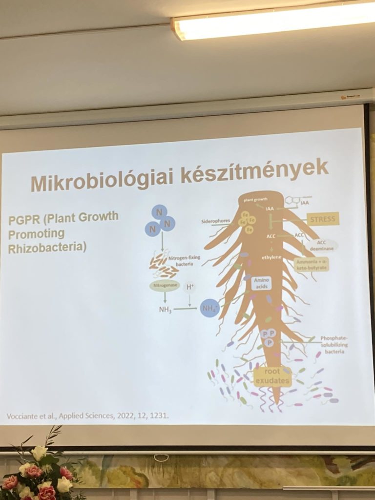 A prezentációs slide titled "Mikrobiológiai készítmények" with a diagram translation PGPR (Plant Growth Promoting Rhizobacteria). A diagram a növényi gyökerek és a baktériumok közötti kölcsönhatásokat mutatja, kiemelve az olyan folyamatokat, mint a nitrogénkötés és az ACC-dezamináz termelés.