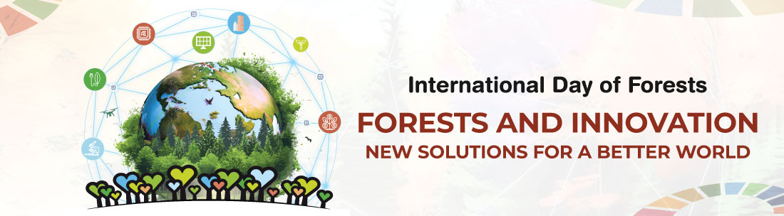 Erdők nemzetközi napja plakát