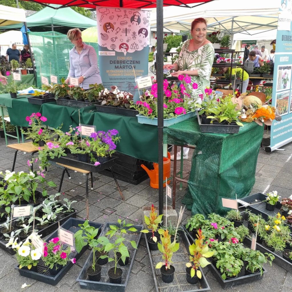 Nyüzsgő szabadtéri piac, ahol két árus színes virágokkal és növényekkel teli bódékat keres. A bódékon zöld terítő, a háttérben tájékoztató plakátok láthatók. A vásárlók a háttérben böngésznek.