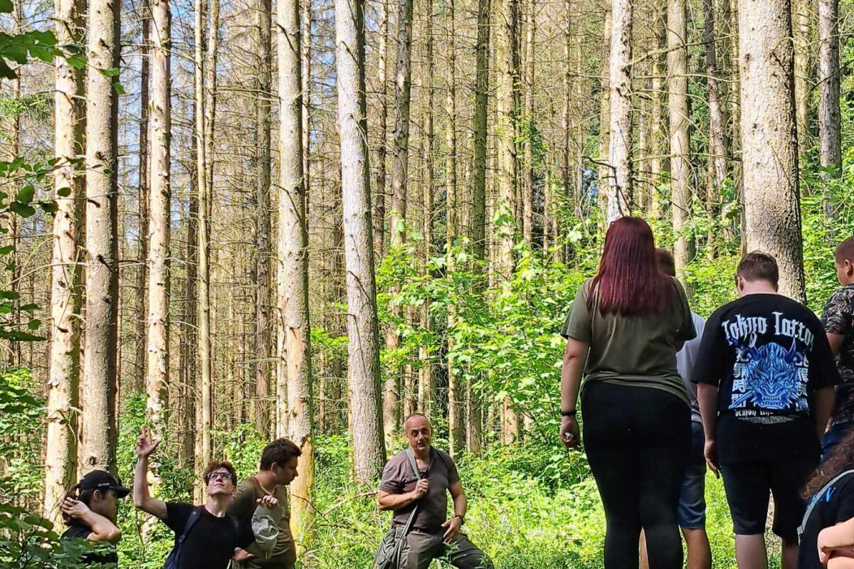 Egy embercsoport állt és sétál egy erdőben, magas fákkal és zöld lombozattal. Egyes egyedek a kamerával szemben néznek, míg mások az erdőn keresztül haladnak. Napsütéses napnak tűnik, és mindenki szabadtéri tevékenységet folytat.