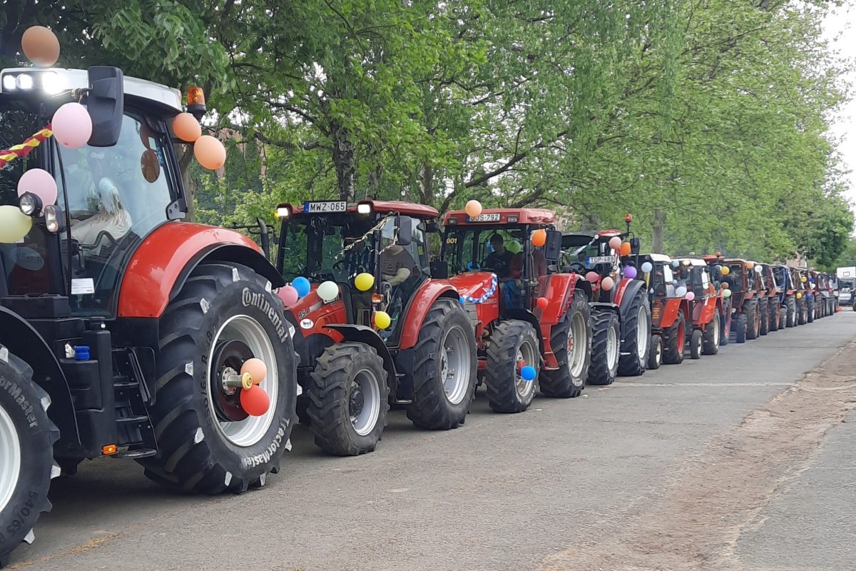 Színes léggömbökkel díszített piros traktorok hosszú sora parkol egy fákkal szegélyezett úton. Mindegyik traktoron különféle léggömbök találhatók, és az utat mindkét oldalon buja zöld fák szegélyezik.