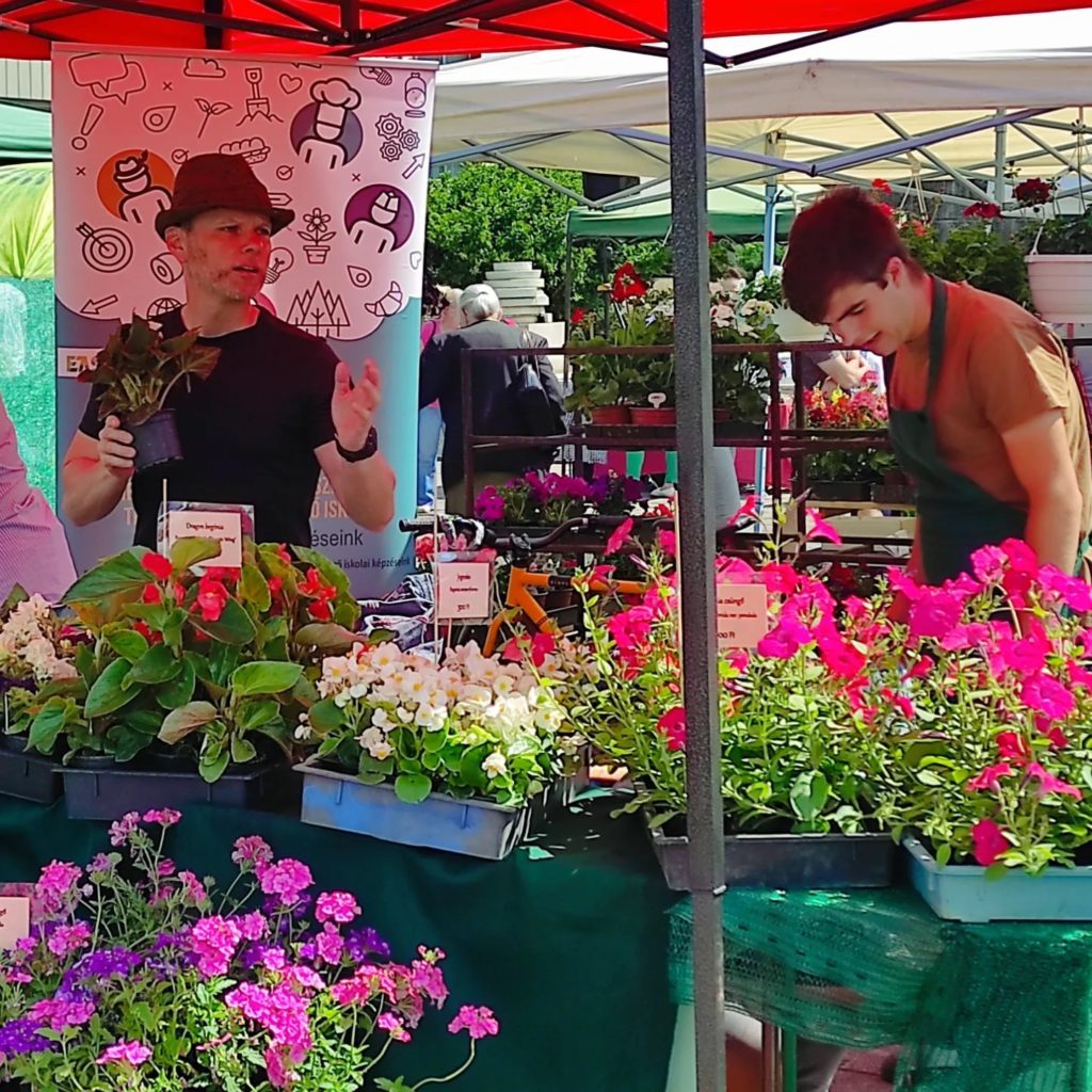 Két ember egy szabadtéri piaci standon egy piros lombkorona alatt, különféle színes virágokat árulnak cserépben. Az egyik ember egy cserépben tart egy növényt, és beszél, míg a másik a növényekre vigyáz. A háttérben egy illusztrációs banner látható.