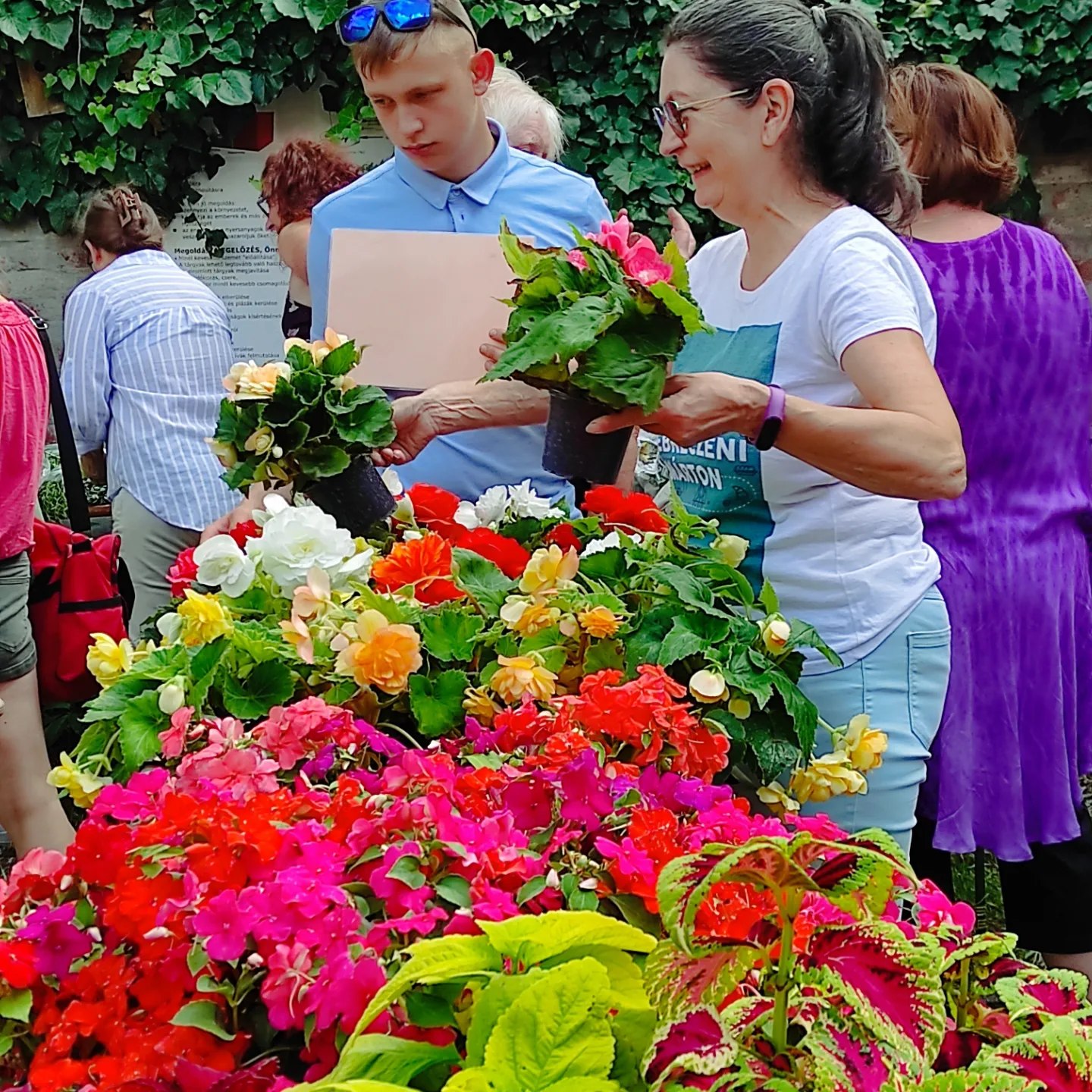 Egy nő és egy férfi színes cserepes virágokat választ ki egy szabadtéri növénypiacon. Az asztal tele van élénk virágokkal, piros, rózsaszín, sárga és fehér árnyalatokban. A háttérben más vásárlók és buja növényzet látható.