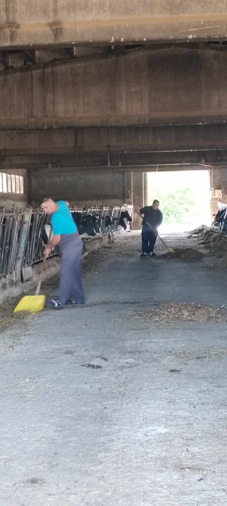 A gazda tanulók  egy Avezzanóhoz közel működő gazdaságban végeztek gyakorlati munkát.